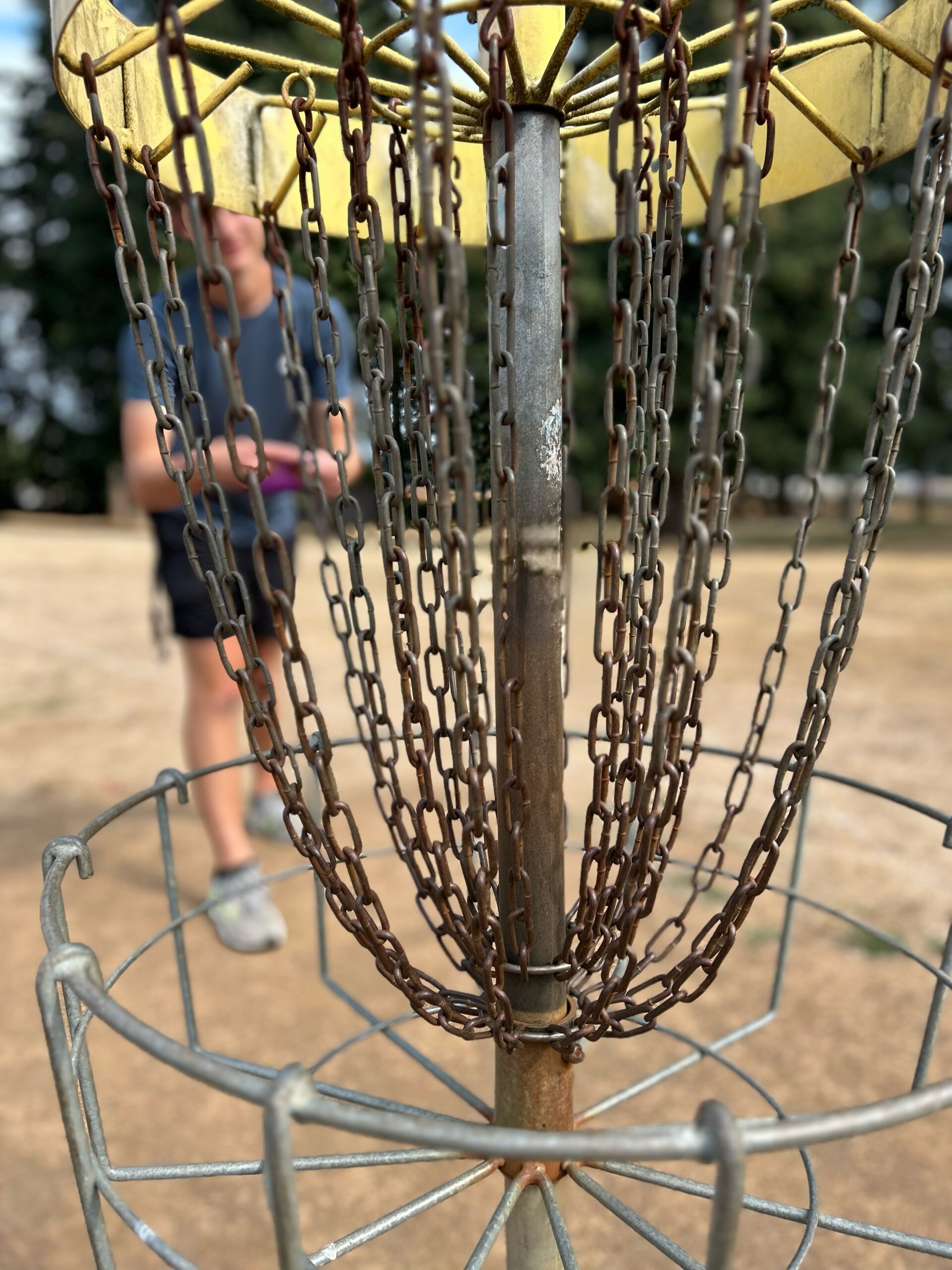 Disc golfer lines up a putt at Glenwood Disc Golf Course